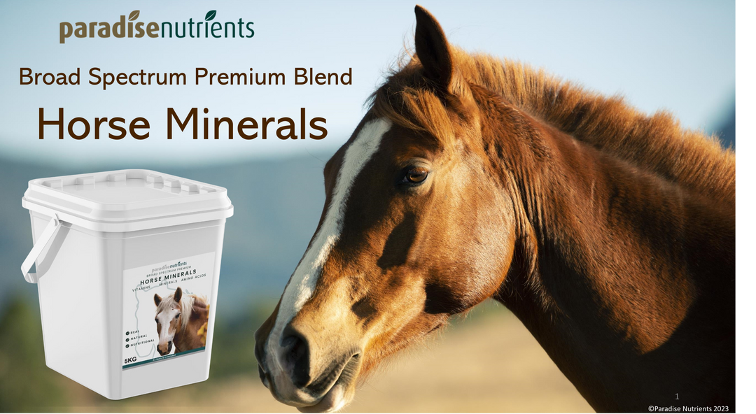 Paradise Nutrients Premium Horse Minerals