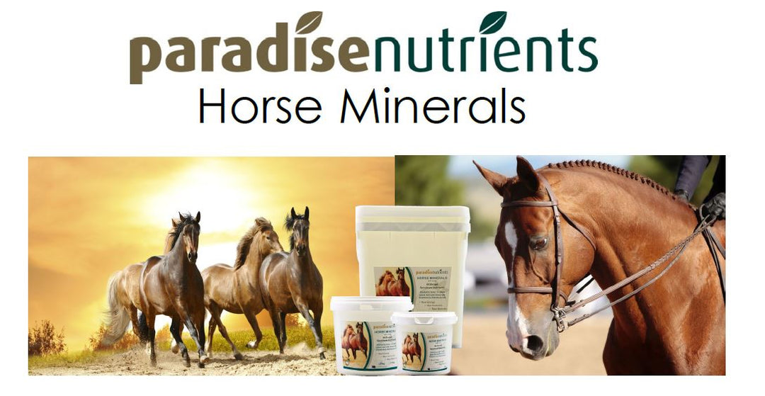 Paradise Nutrients Premium Horse Minerals