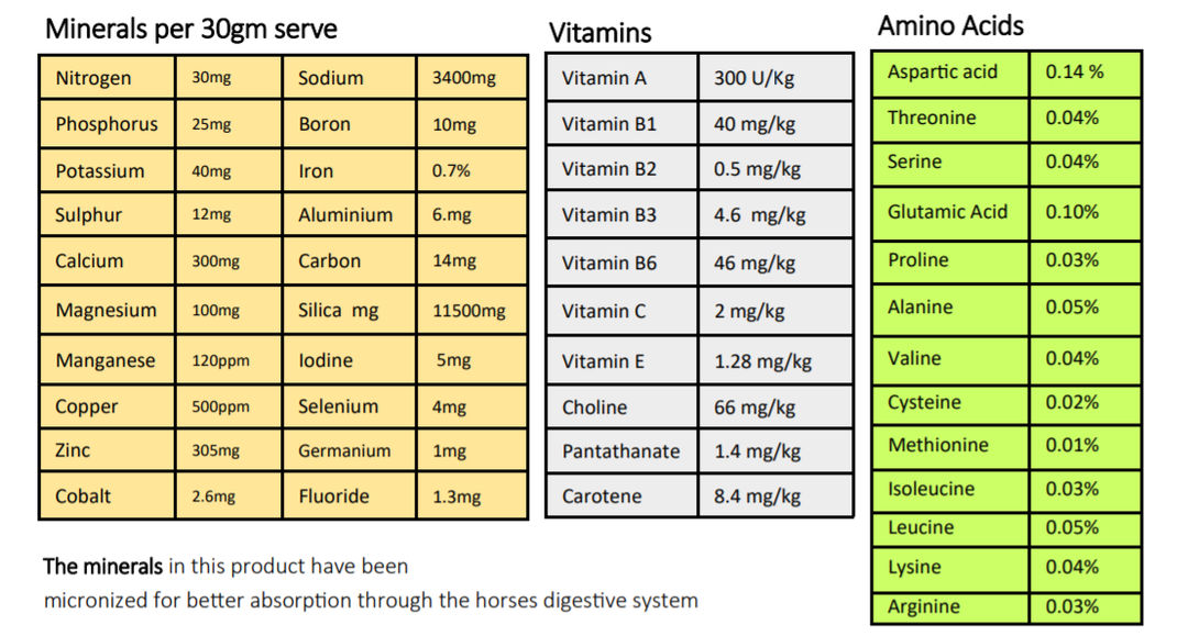 Paradise Nutrients Premium Horse Minerals