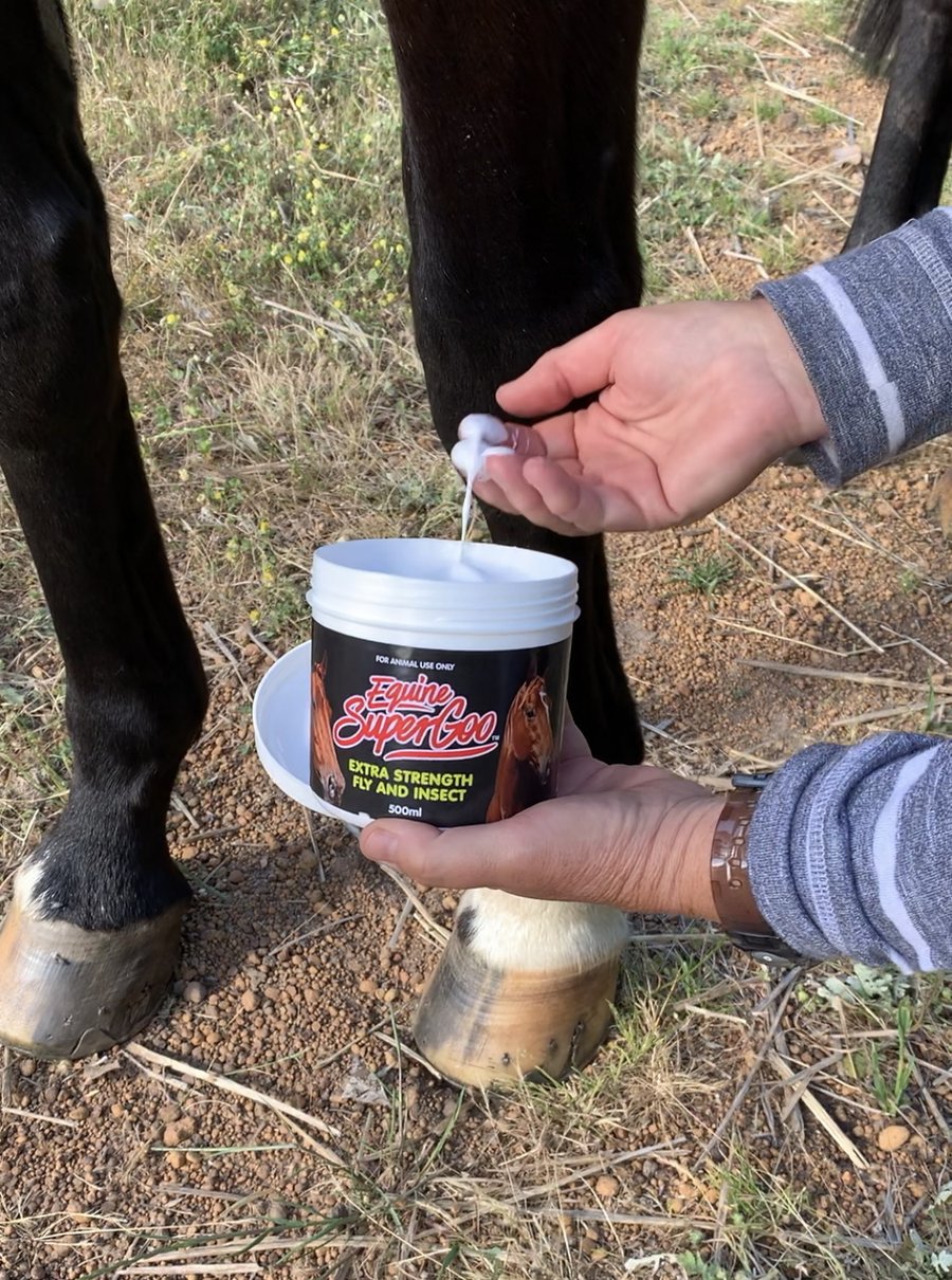 Equine Super Cream - No swish, no stomp