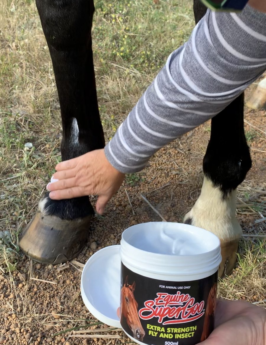 Equine Super Cream - No swish, no stomp