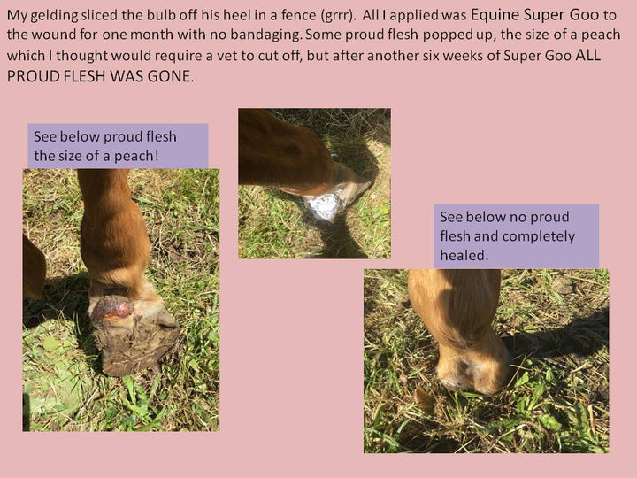 Equine Super Original Cream