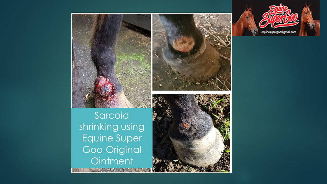 Equine Super Original Cream